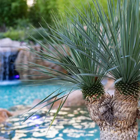 Capanna D'oro Dependance 3* Lignano Sabbiadoro